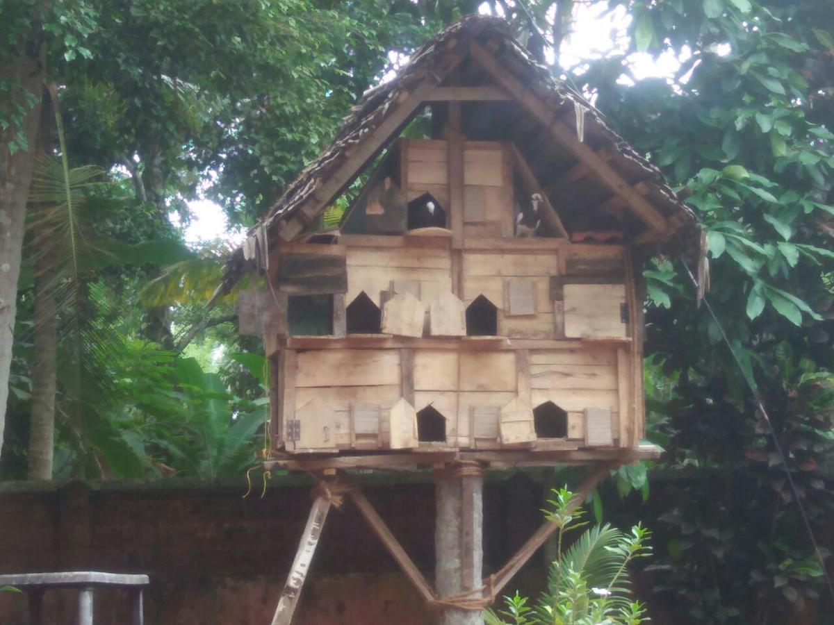 Nalukettu Heritage Resort Varkala Exteriör bild